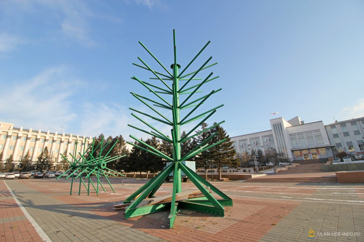 Фото Ёлку на площади Советов сделают из 630 живых деревьев