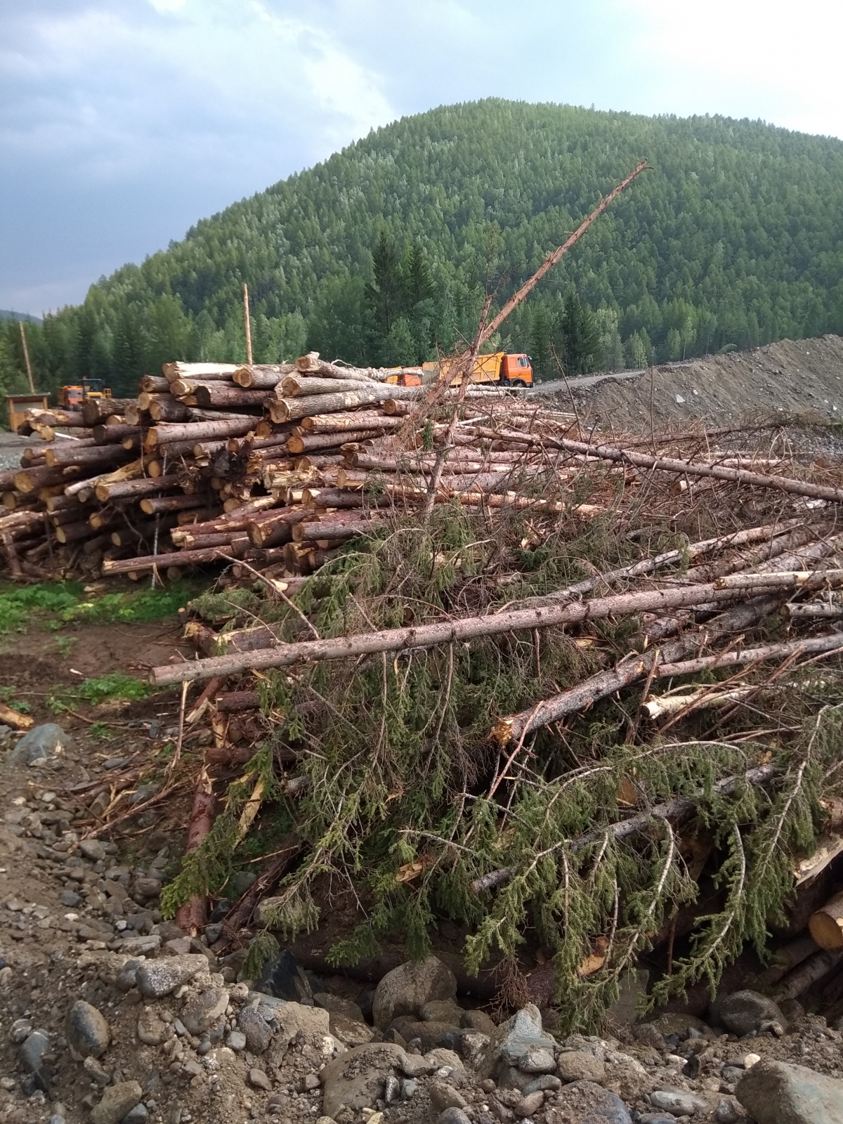 Фото В Бурятии возбудили уголовное дело на главу агентства лесного хозяйства