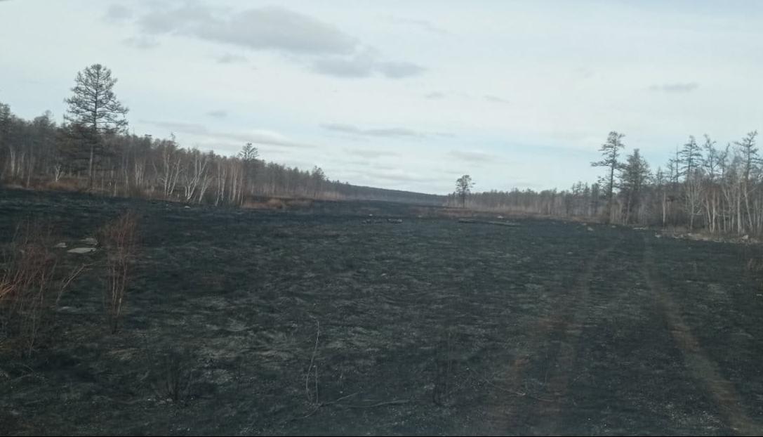 Фото В Бурятии локализован сложный лесной пожар