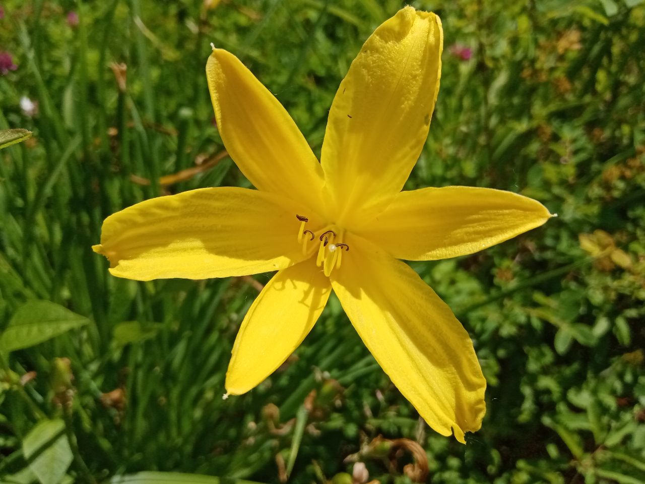 Фото Погода в Бурятии 18 июня 2023 года	