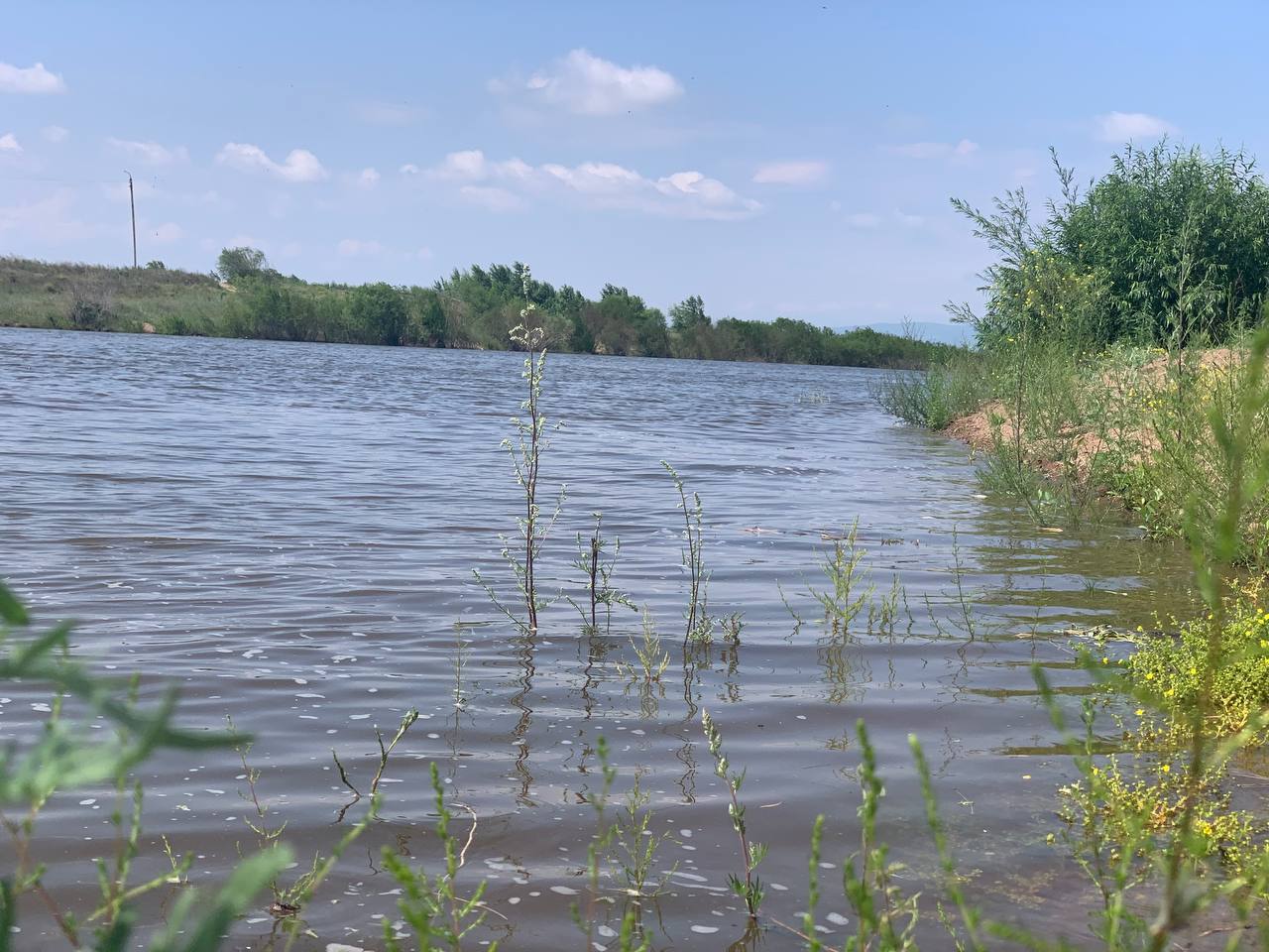 Фото В Улан-Удэ вода в реке Селенга не соответствует гигиеническим нормативам 