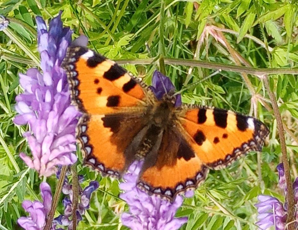 Фото Погода в Бурятии 28 июня 2025 года