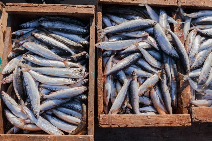 Фото В Бурятии рыбаки нарушили закон на 135 тысяч рублей