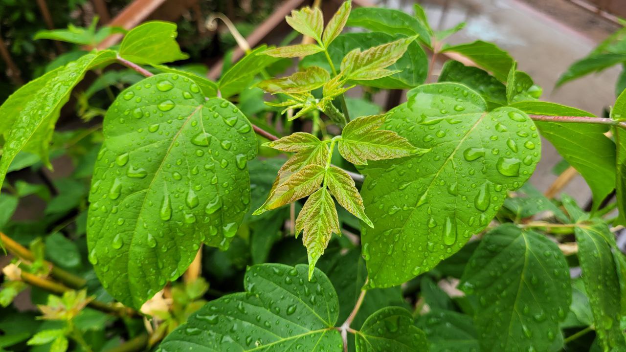 Фото Погода в Бурятии 7 сентября 2023 года