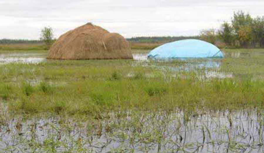 Фото Из-за дождей сенокосы затопило в Баргузинском и Курумканском районах