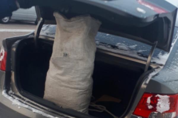 Фото Инспекторы ГИБДД Бурятии задержали автомобиль с наркотиками