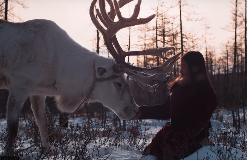 Фото Клип о монгольской девочке номинирован на премию «Music video awards 2019»