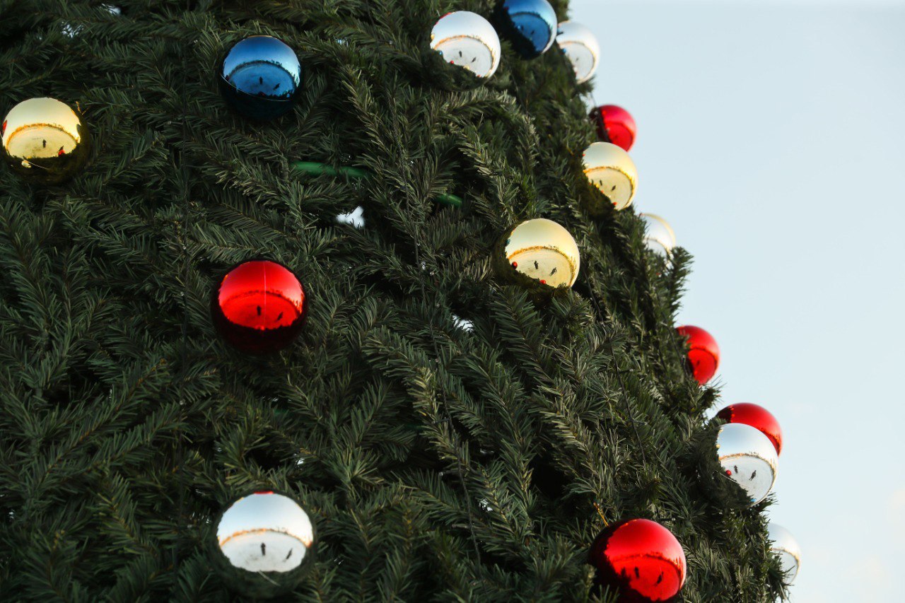 Фото В улан-удэнском парке имени Орешкова начали установку новогодней ёлки