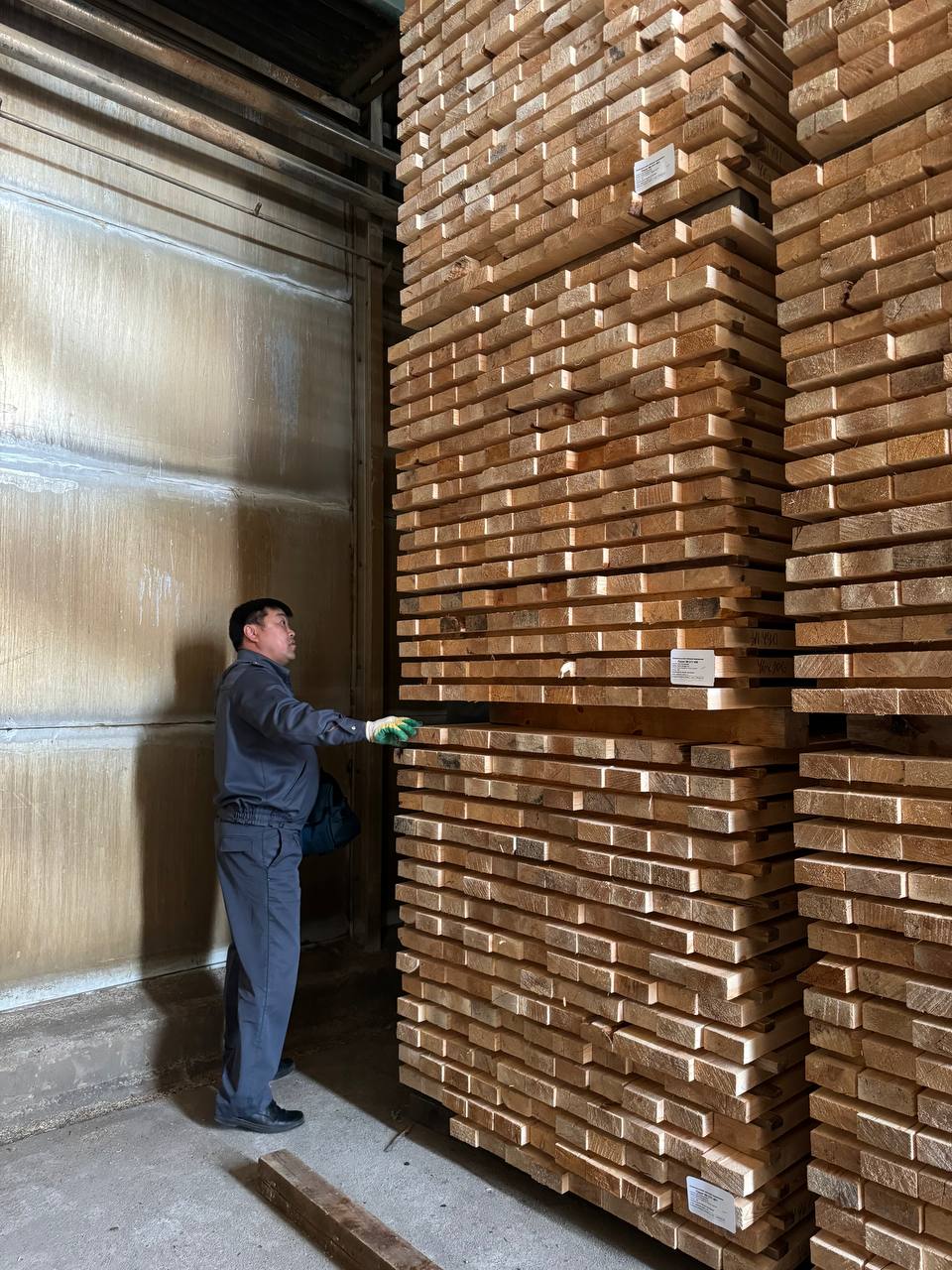 Фото Из Бурятии под контролем Россельхознадзора экспортировано более 100 тысяч кубометров лесоматериалов