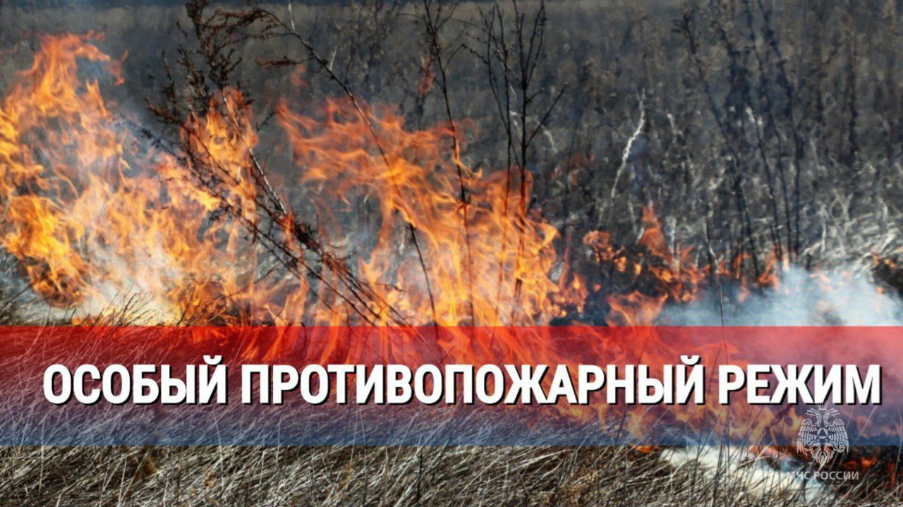 Фото В Бурятии объявлен особый противопожарный режим по всей республике