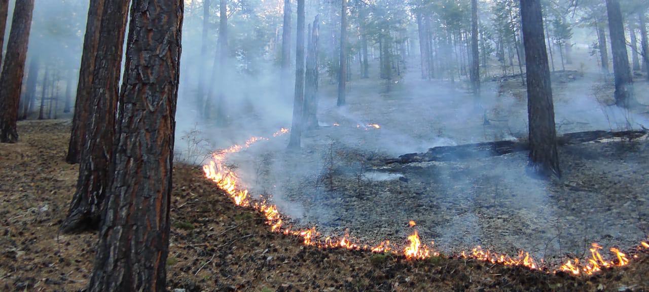 Фото В Бурятии продолжают бушевать возникшие по вине человека лесные пожары