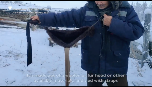 Фото Житель Якутии поразил меховыми бюстгальтерами для коров (ВИДЕО)