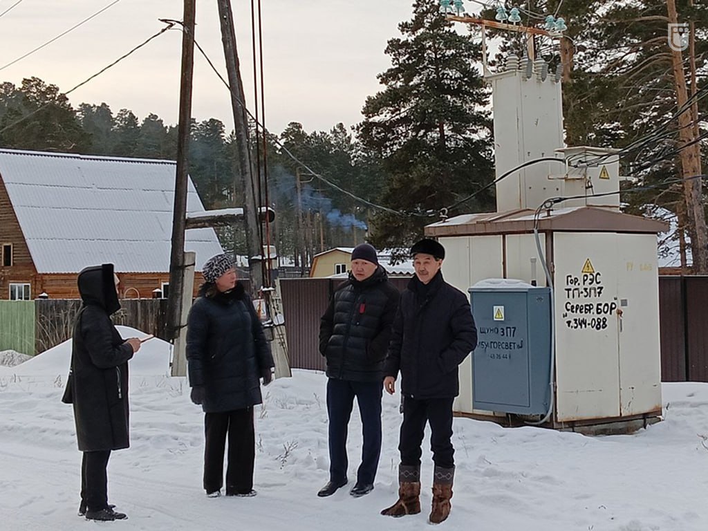 Фото В Улан-Удэ ДНТ «Сибиряк» и «Серебряный Бор» нуждаются в обновлении электросетей