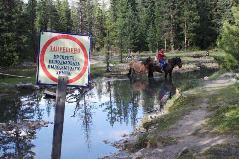 Фото В Бурятии запретили нахождение в природном парке «Шумак» лошадей и собак