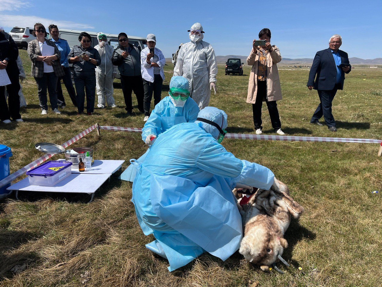 Фото В районе Бурятии прошли учения по ликвидации больных животных