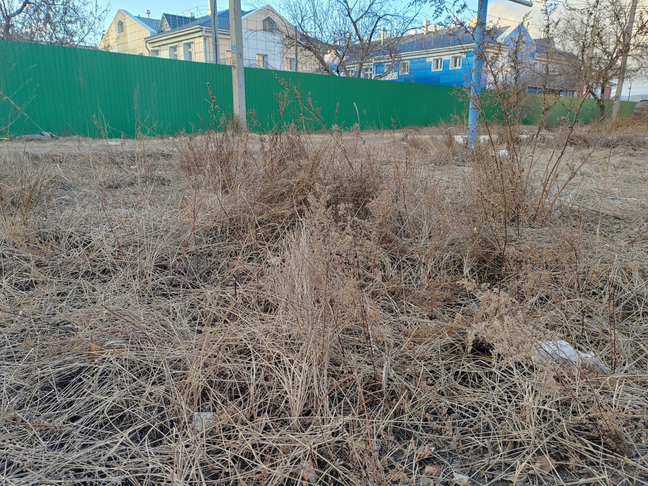 Фото Во всех поселениях Бурятии должны убрать сухую траву до конца недели  