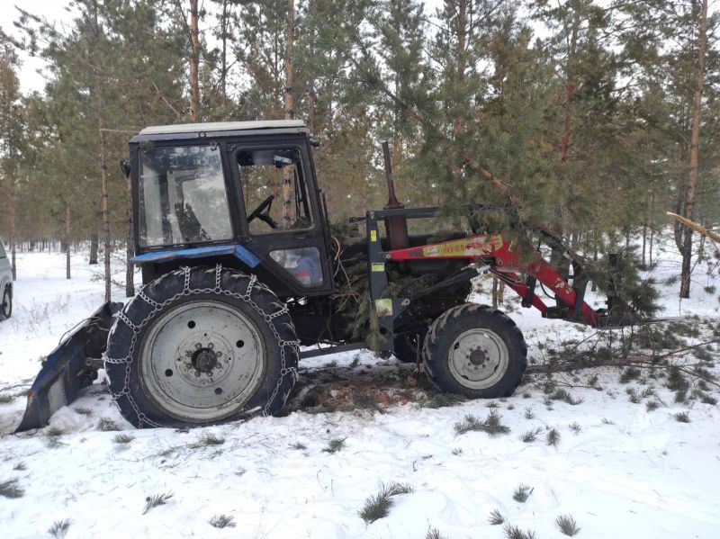 Фото В Бурятии “черного лесоруба” задержали с изъятием имущества