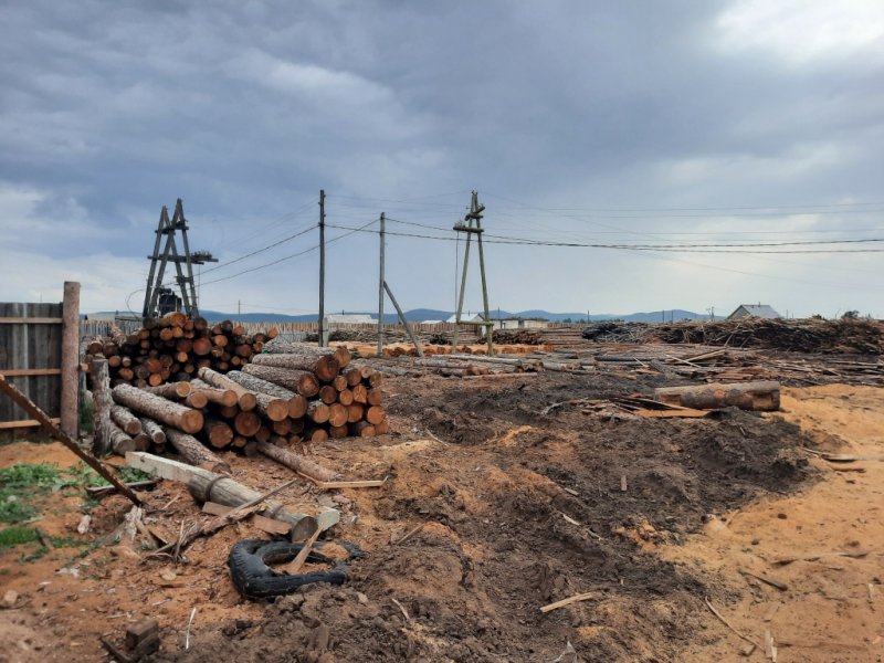 Фото В Бурятии у предпринимателя изъяли древесину на полмиллиона