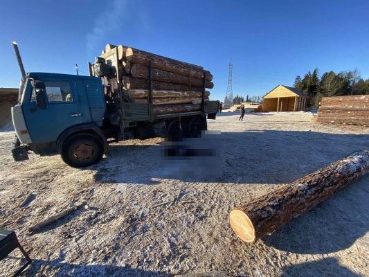 Фото В Бурятии лесозаготовщика убило упавшее с грузовика бревно