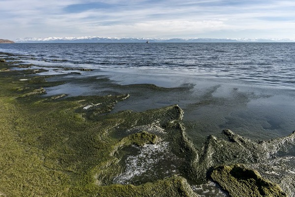 Фото Загаженное  море - священный  Байкал