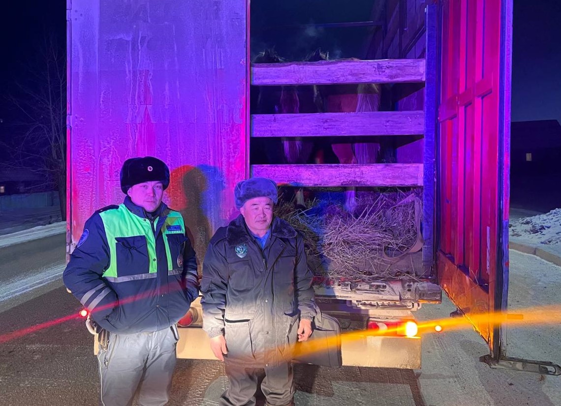 Фото Гражданин Казахстана пытался нелегально вывезти из Бурятии табун коней