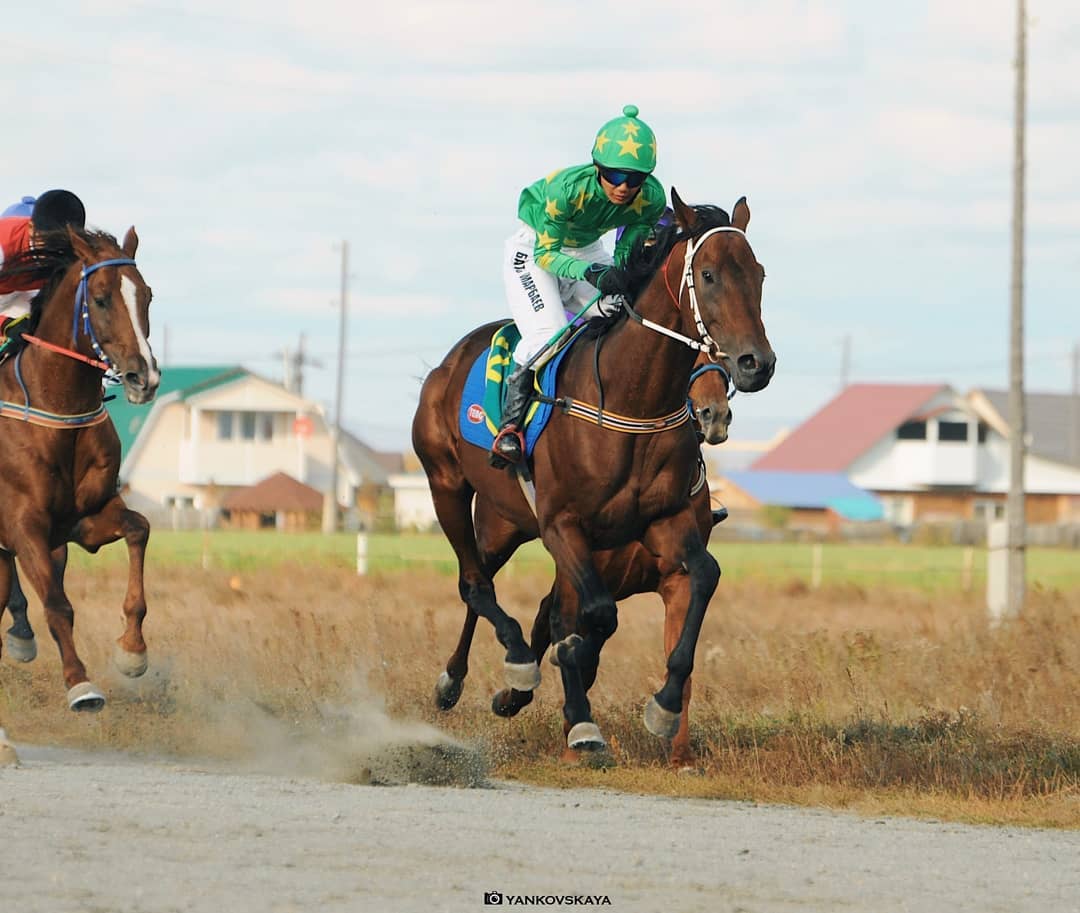 Фото Команда из Бурятии стал призером конных скачек на Кубок губернатора Забайкалья 