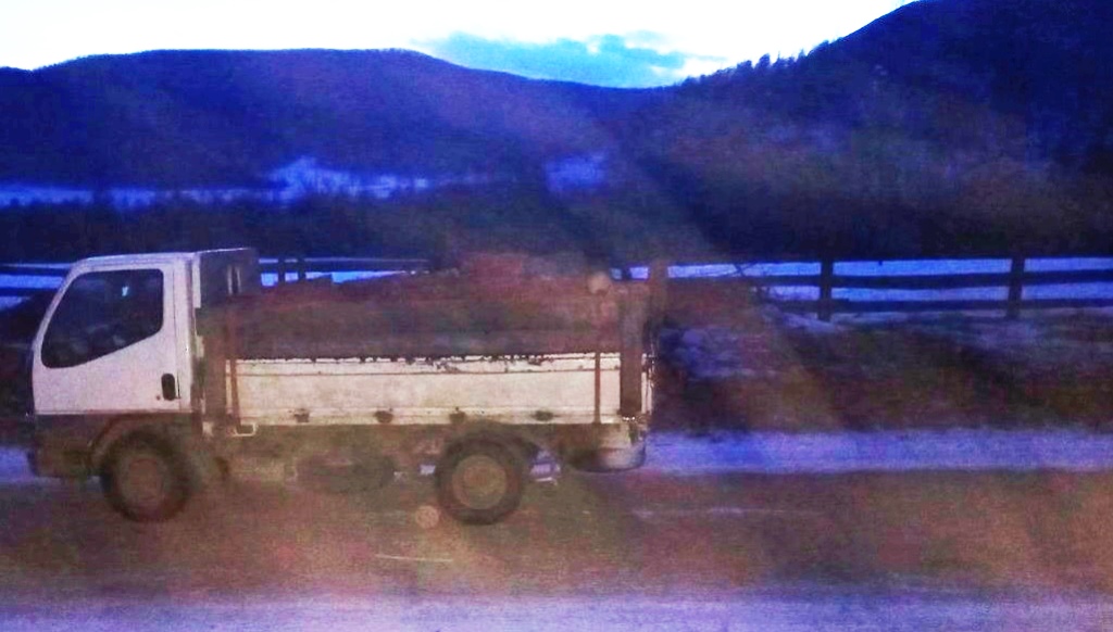 Фото В Бурятии грузовик с дровами переехал своего водителя