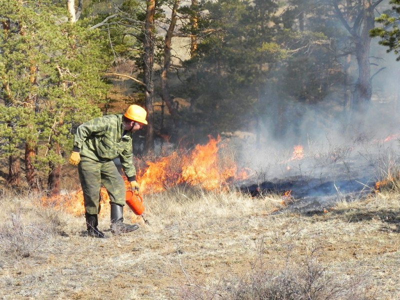 Фото Увеличилось в 3 раза: в Улан-Удэ произошло шесть лесных пожаров
