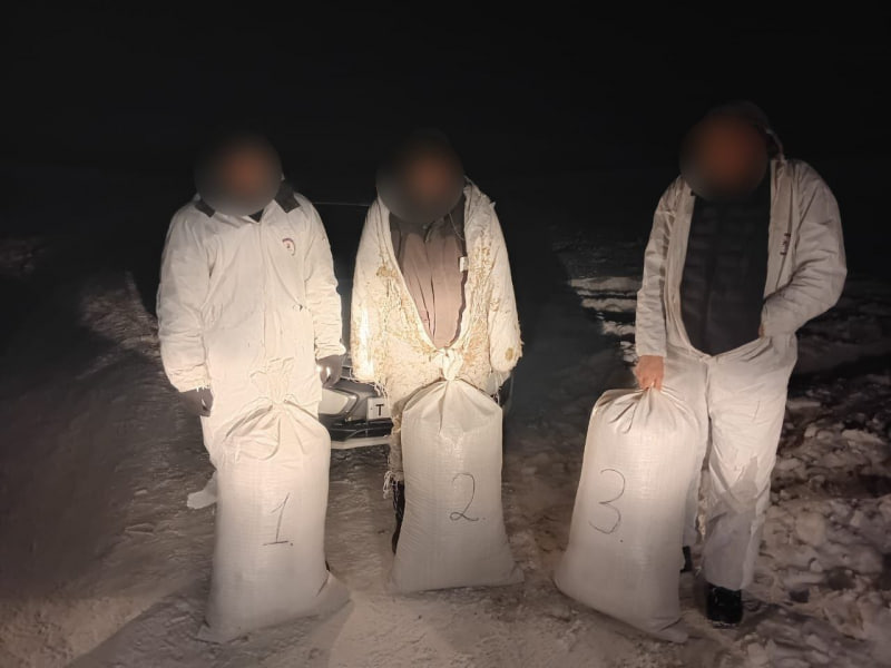 Фото Сборщиков-«снеговиков» поймали с коноплей в районе Бурятии