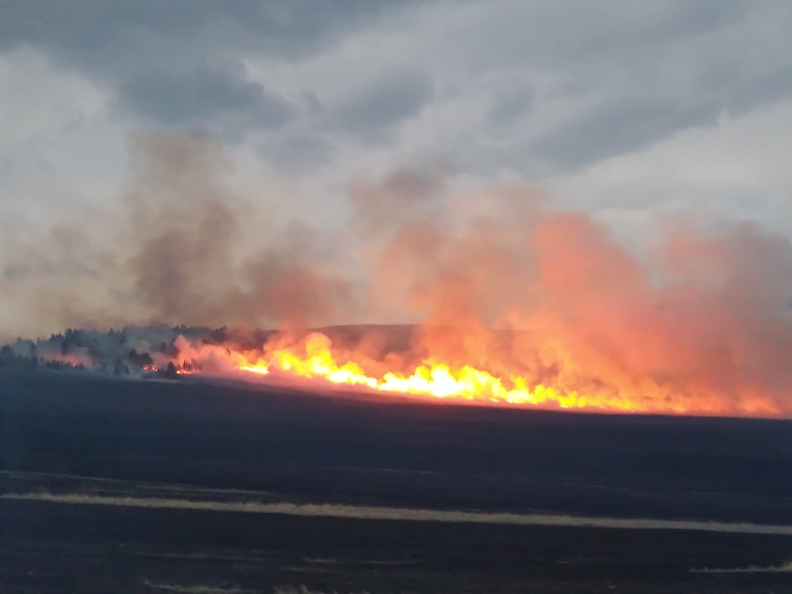 Фото В семи  районах  Бурятии горят леса