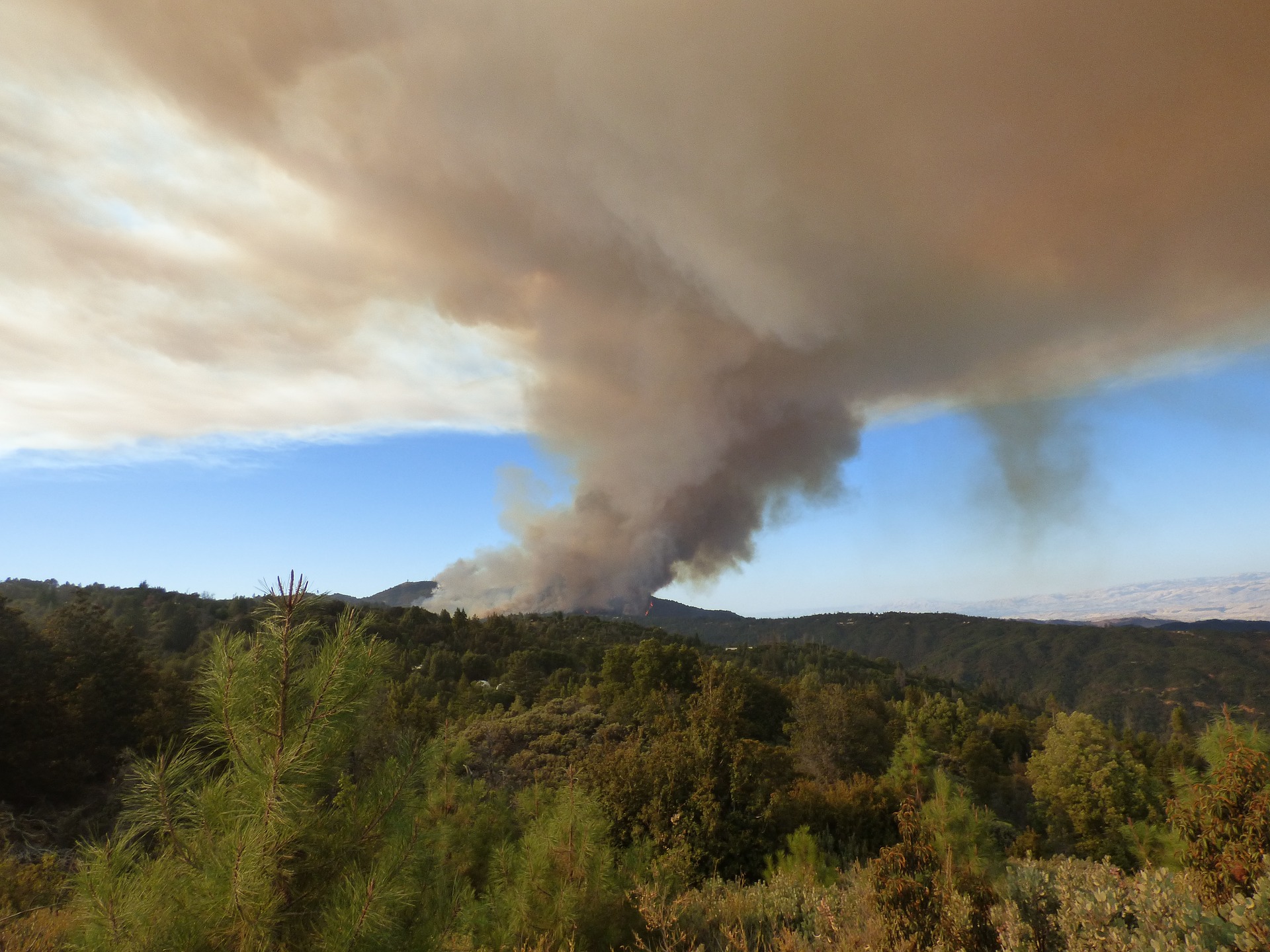 Фото На севере Бурятии тушат один лесной пожар