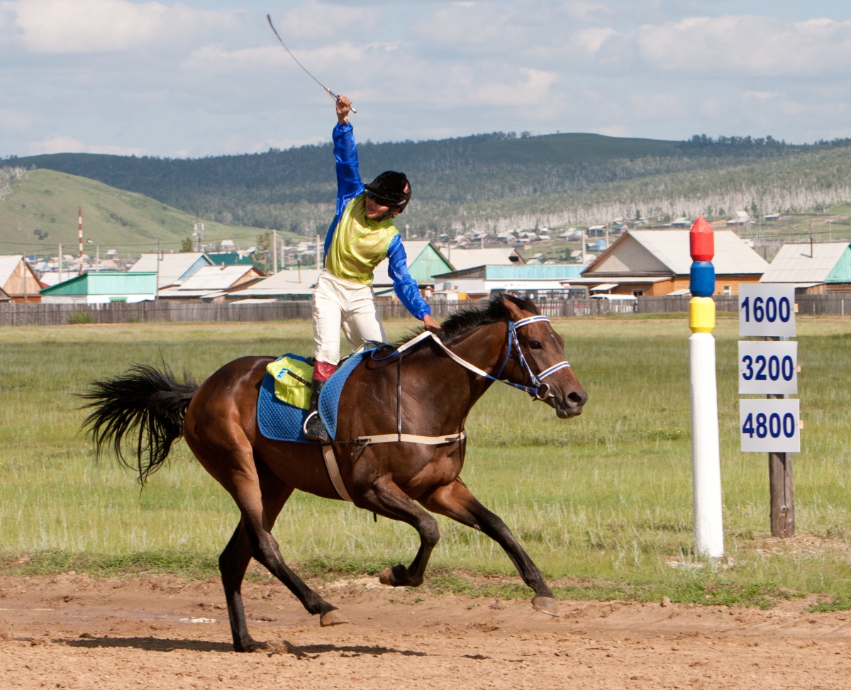 Фото Соревнования конного спорта в новом формате пройдут в Бурятии
