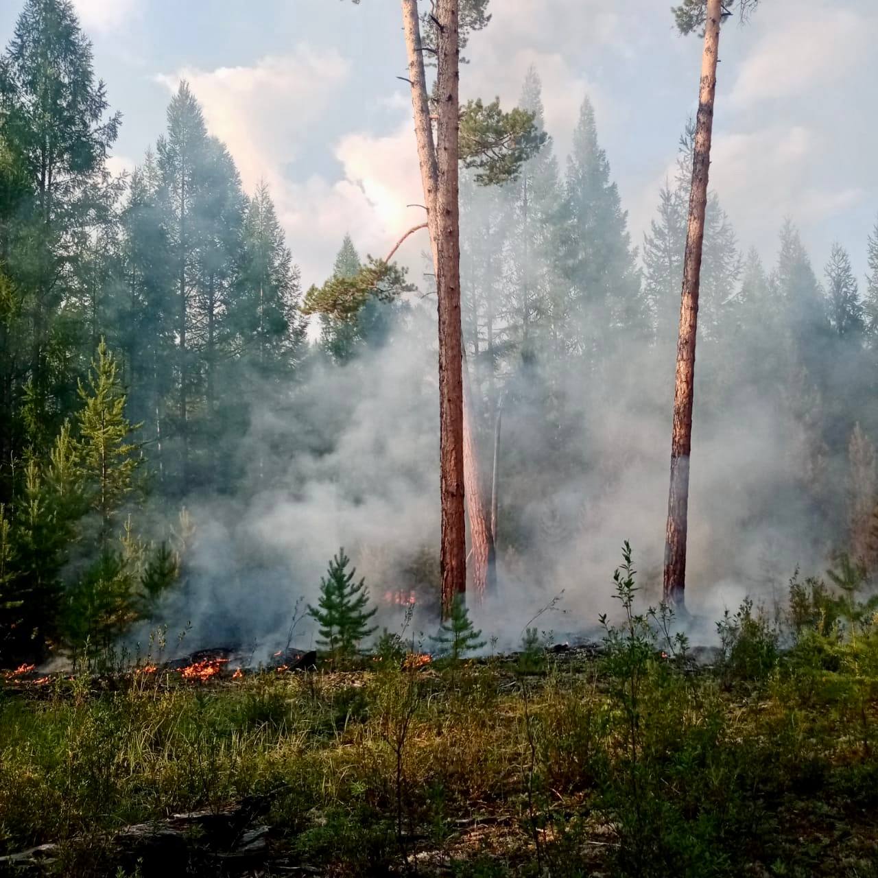 Фото В Бурятии сухая гроза за сутки зажгла восемь лесных пожаров