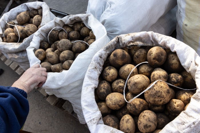 Фото В Бурятии открылось современное картофелехранилище на восемь тысяч тонн