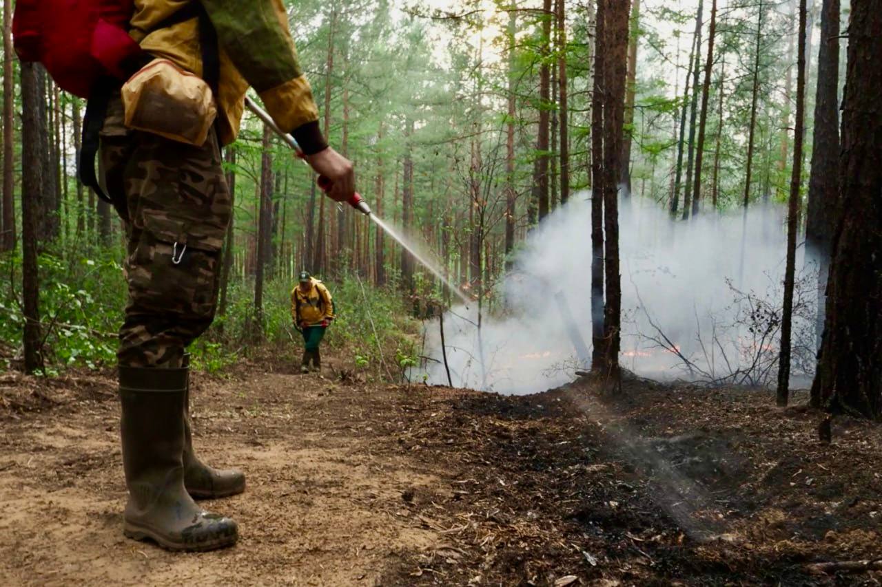 Фото В Бурятии тушат 12 лесных пожаров