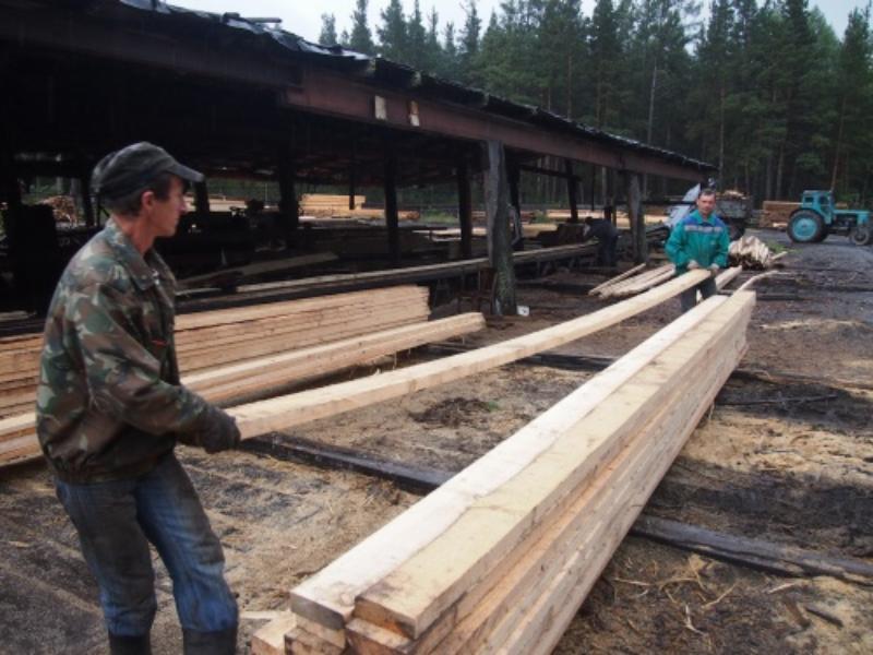 Фото В Бурятии владельца лесоприемного пункта оштрафовали за отсутствие медосмотров у работников