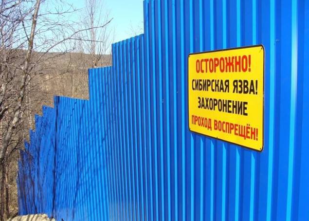 Фото Скотомогильник в районе Бурятии 25 лет находился предоставленным сам себе