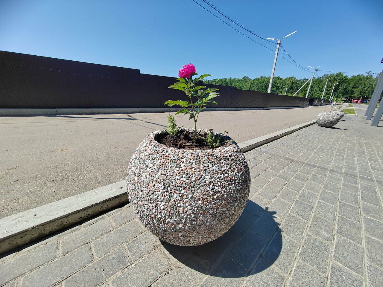 Фото В Бурятии более тысячи НКО представили отчеты за прошлый год 