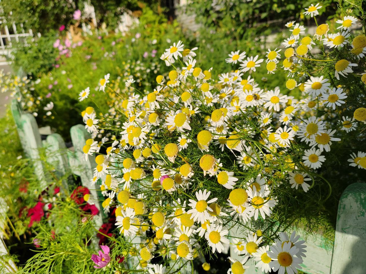 Фото Десять шаманов в Бурятии достигли высшего титула