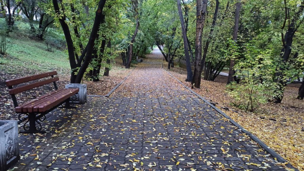 Фото С улиц Улан-Удэ начали убирать опадающую листву
