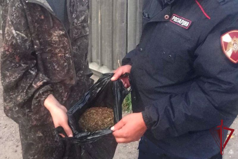 Фото Житель Бурятии с пакетом наркотиков развернулся при виде росгвардейцев