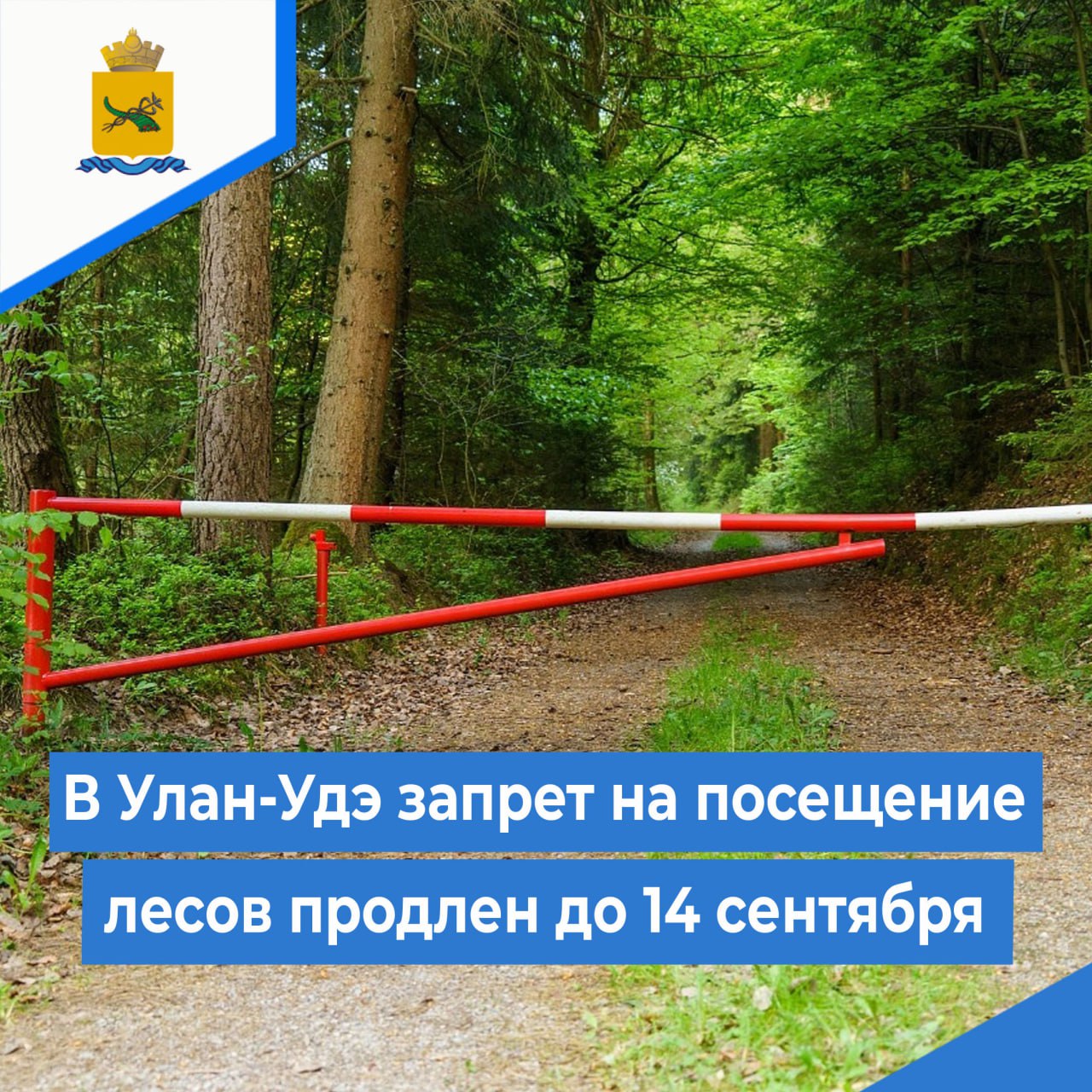 Фото В Улан-Удэ продлен запрет на вход в лес до 14 сентября