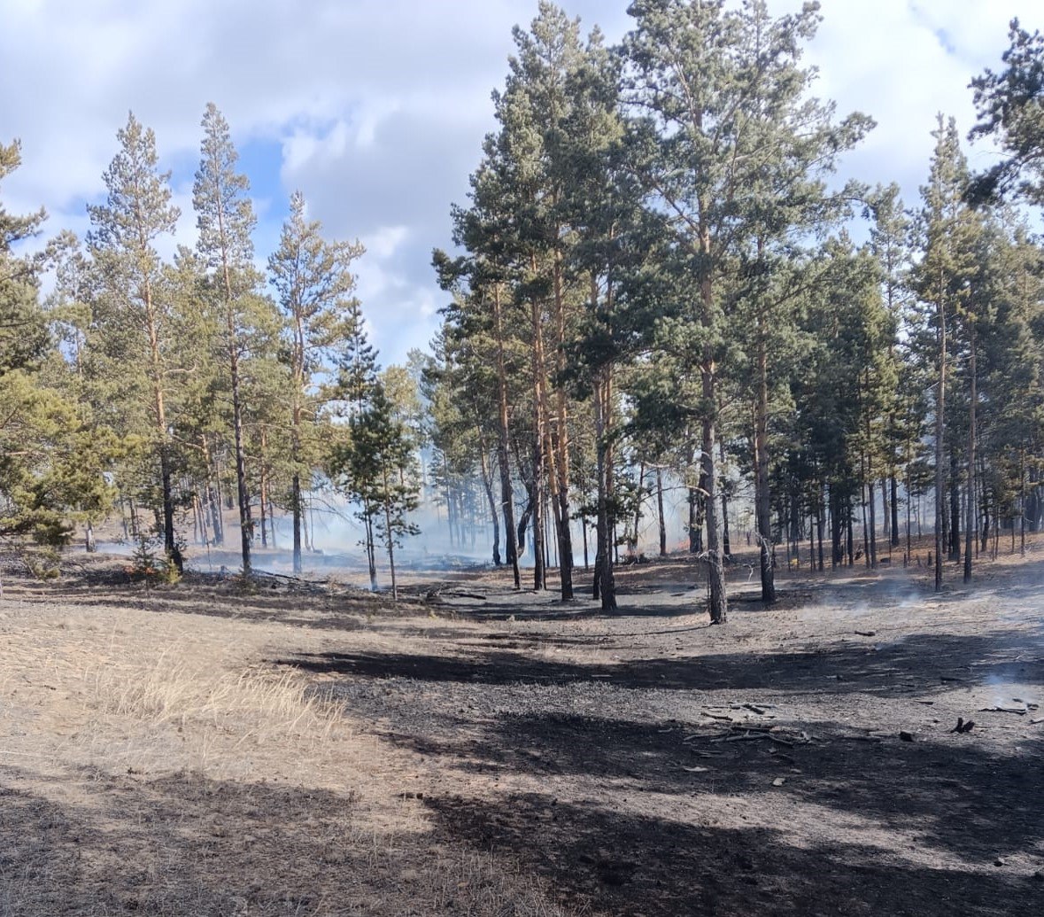 Фото В Заиграевском районе Бурятии потушили лесной пожар