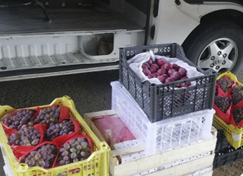 Фото Гражданам Монголии не дали вывезти из Бурятии 255 кг фруктов и ягод