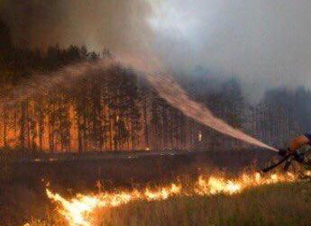 Фото Задержан виновник лесного пожара в Курумканском районе