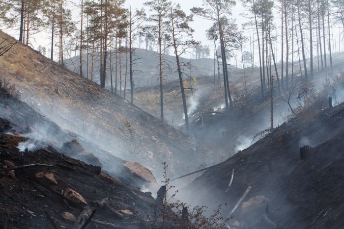 Фото Бурятия 761,4 млн рублей из федерального бюджета потратит на охрану лесов от пожаров