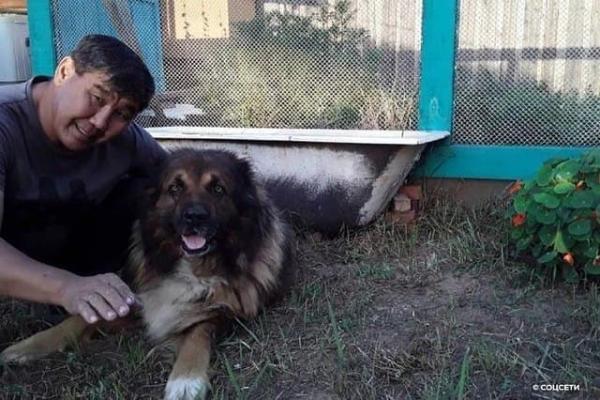 Фото Хозяин собаки в Улан-Удэ, который болел COVID-19, вернулся к своему питомцу (ФОТО)