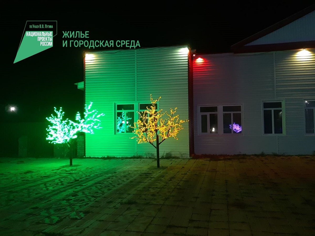 Фото В центре села Багдарин появились светящиеся Сакуры