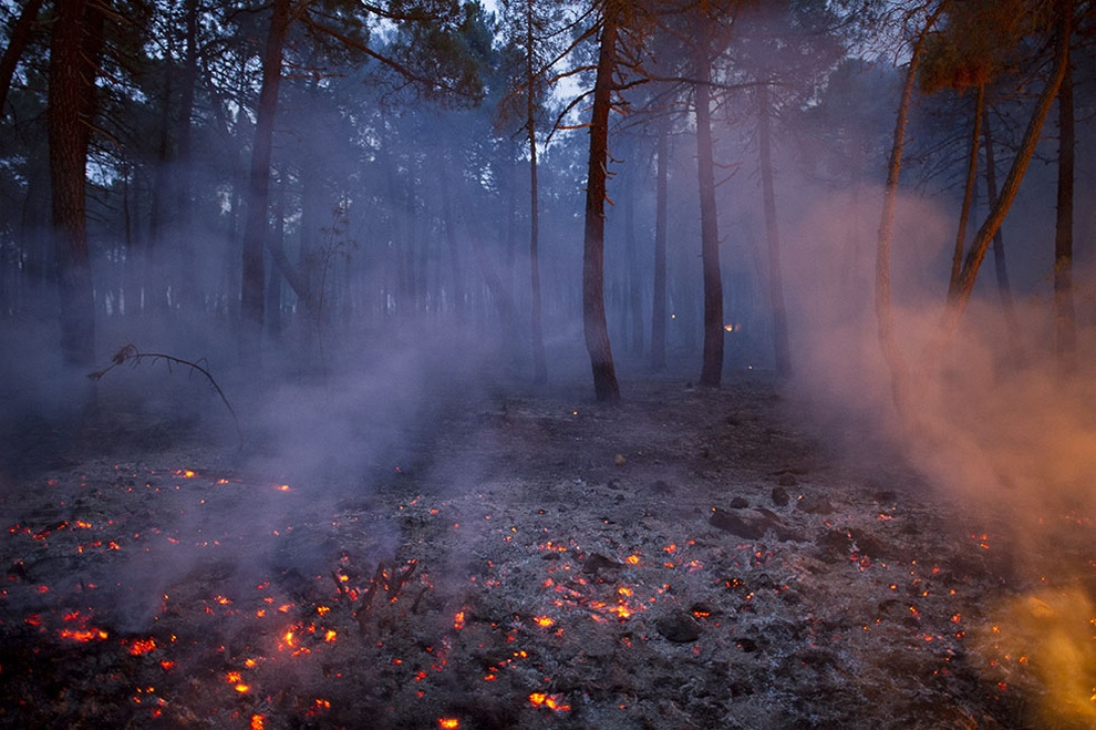 Фото В  лесах Бурятии снят особый противопожарный режим