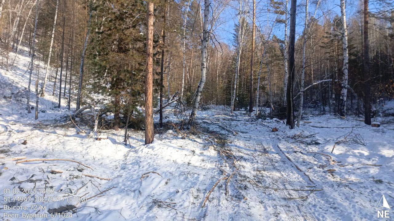 Фото Три жителя Бурятии плохо убрали места рубок и получили штраф
